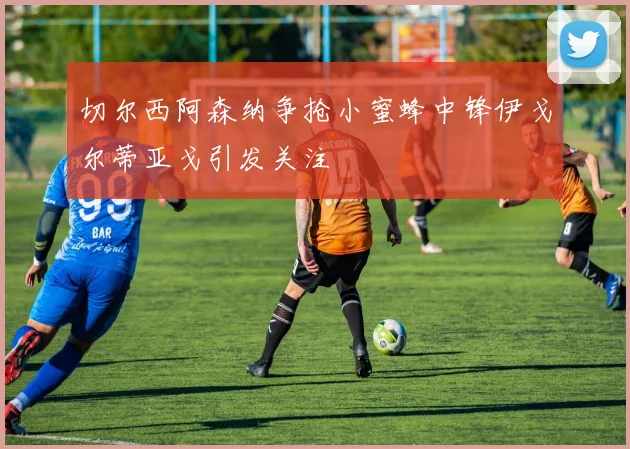 切尔西阿森纳争抢小蜜蜂中锋伊戈尔蒂亚戈引发关注