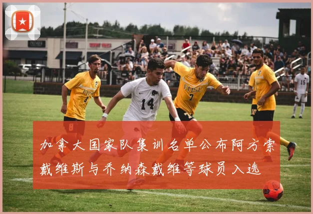 加拿大国家队集训名单公布阿方索戴维斯与乔纳森戴维等球员入选